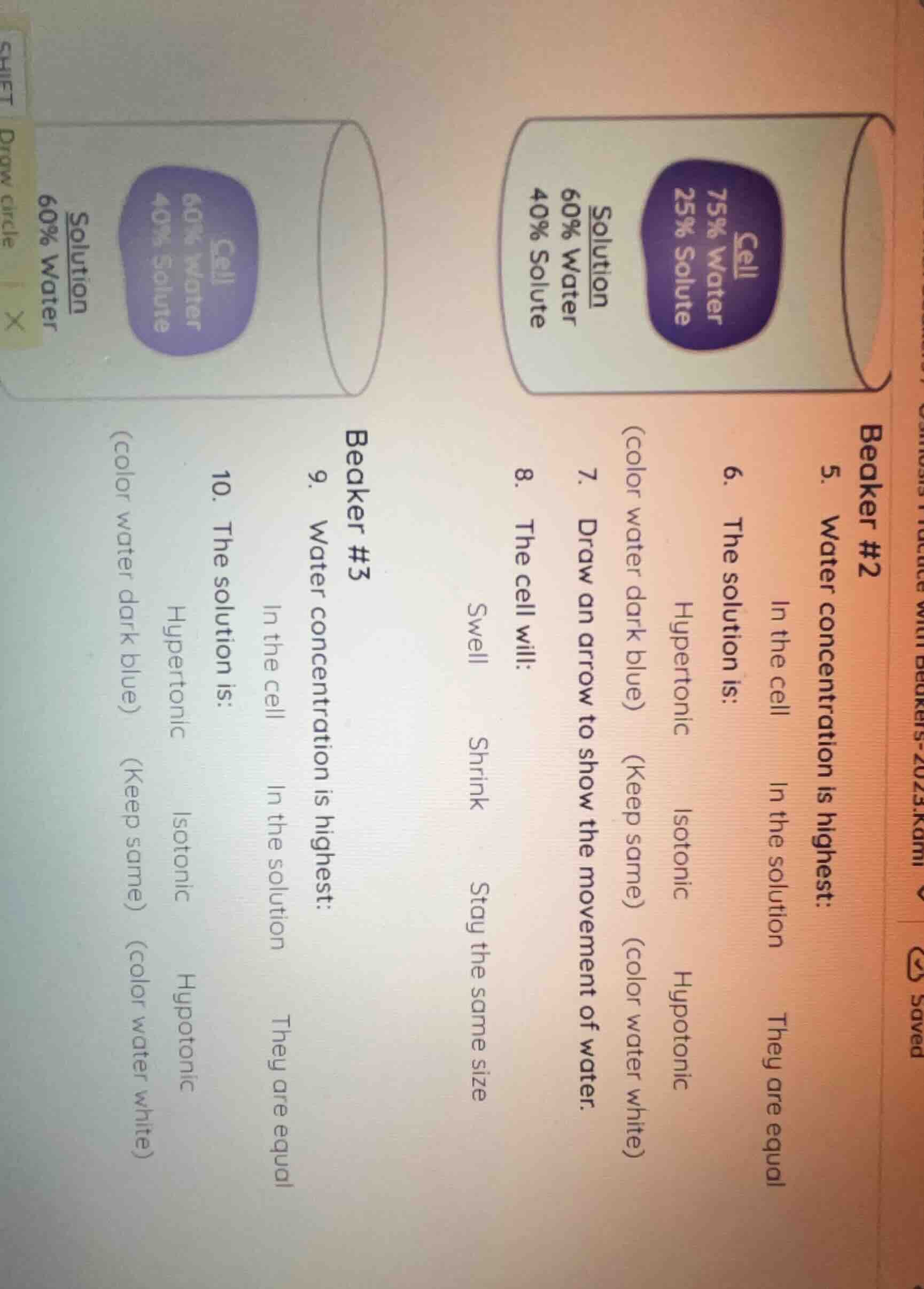 beaker #2 5. water concentration is highest: in the cell in the solutio…