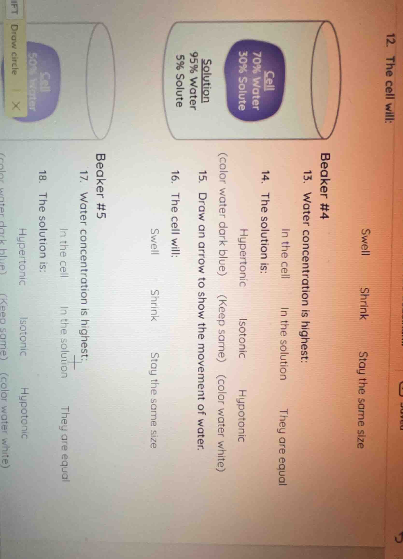 12. the cell will: swell shrink stay the same size beaker #4 13. water …