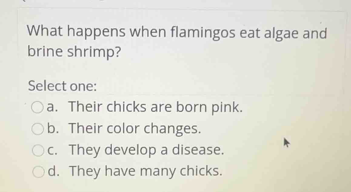 what happens when flamingos eat algae and brine shrimp? select one: ○a.…