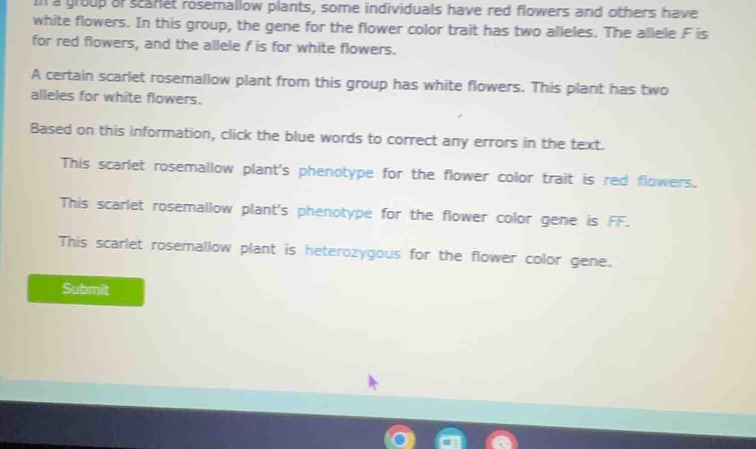 in a group of scarlet rosemallow plants, some individuals have red flow…