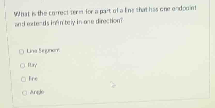 what is the correct term for a part of a line that has one endpoint and…
