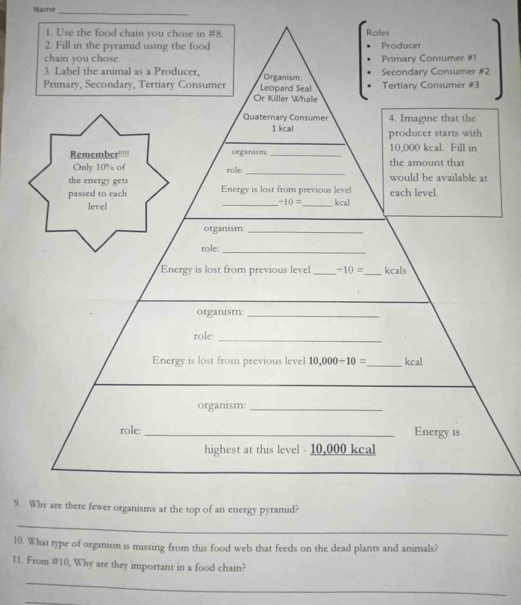 name 1. use the food chain you chose in #8. 2. fill in the pyramid usin…