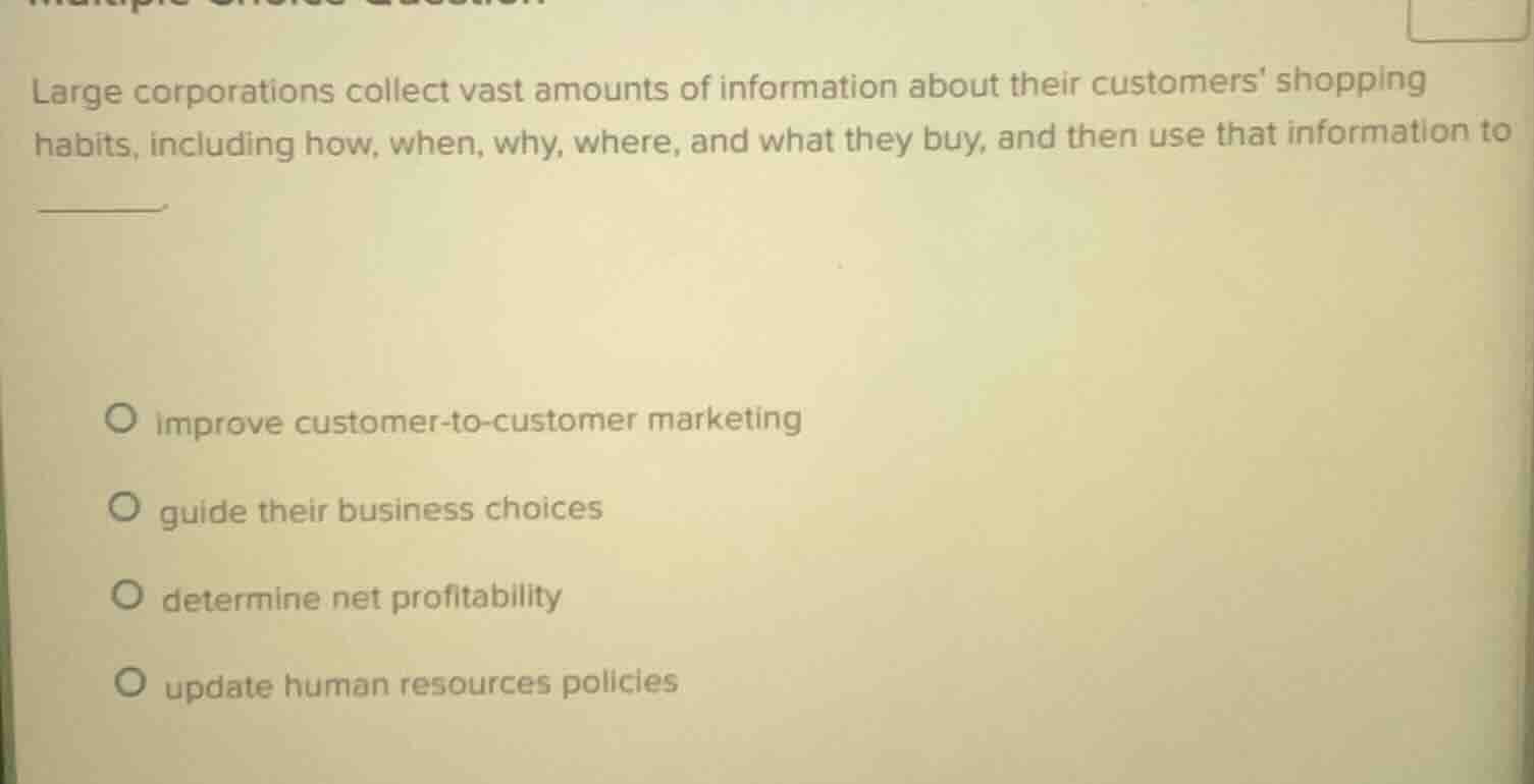 large corporations collect vast amounts of information about their cust…