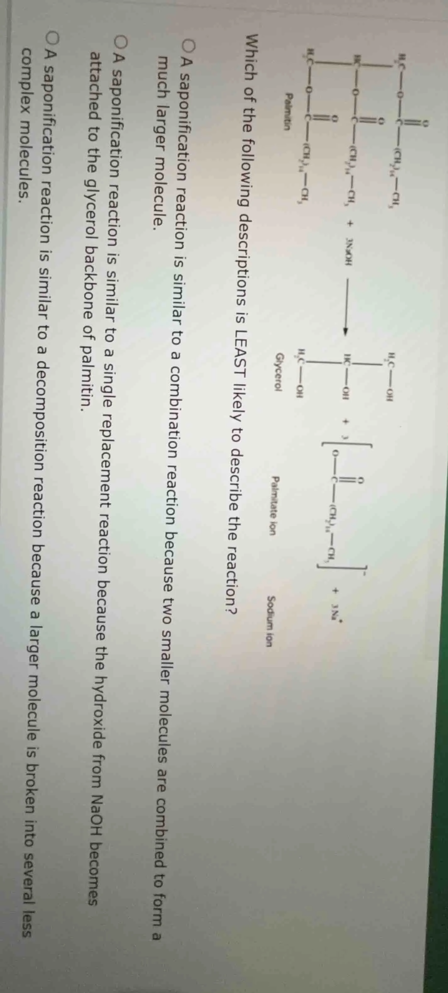 which of the following descriptions is least likely to describe the rea…