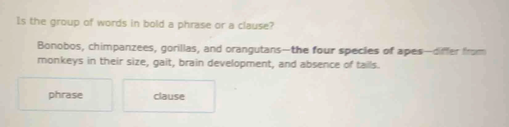 is the group of words in bold a phrase or a clause? bonobos, chimpanzee…