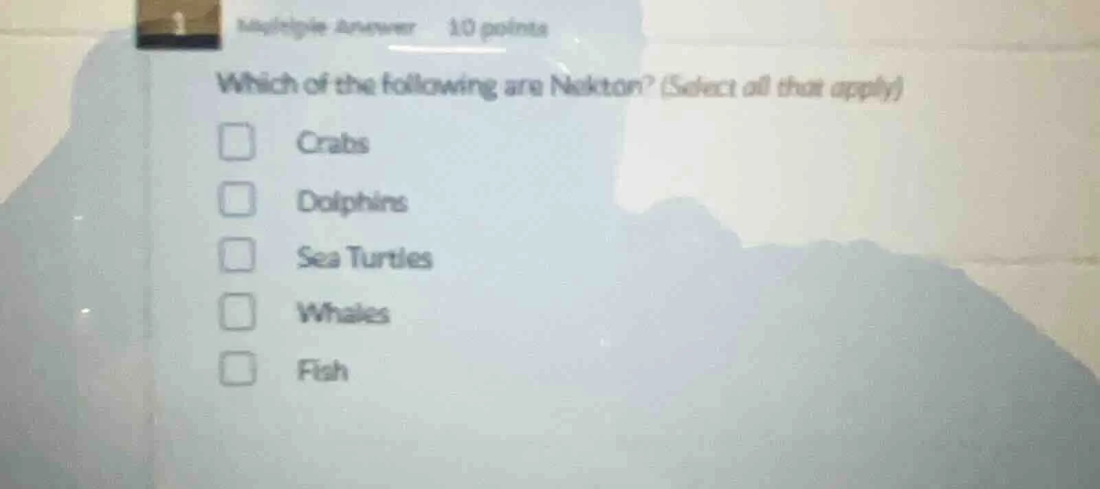 multiple answer 10 points which of the following are nekton? (select al…