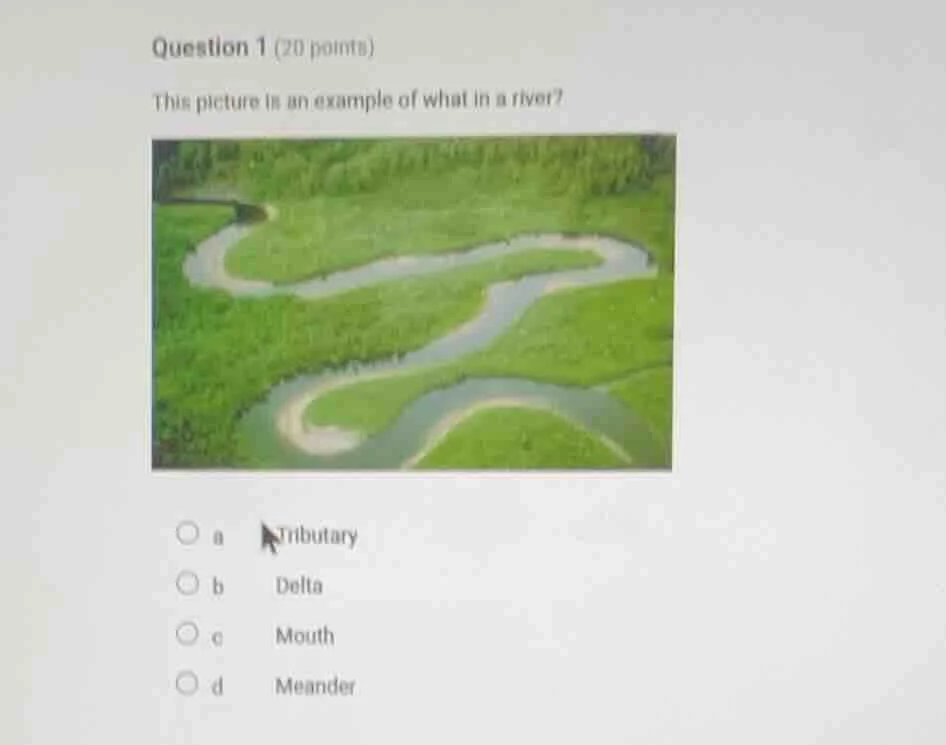 question 1 (20 points) this picture is an example of what in a river? a…