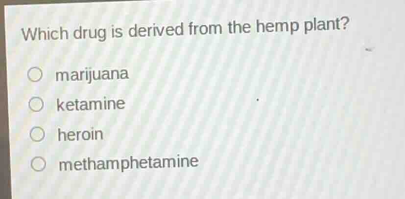which drug is derived from the hemp plant? ○ marijuana ○ ketamine ○ her…