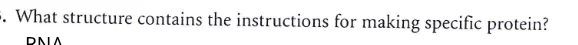 what structure contains the instructions for making specific protein? d…
