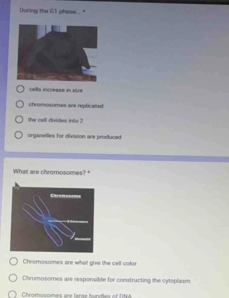 during the g1 phase... cells increase in size chromosomes are replicate…