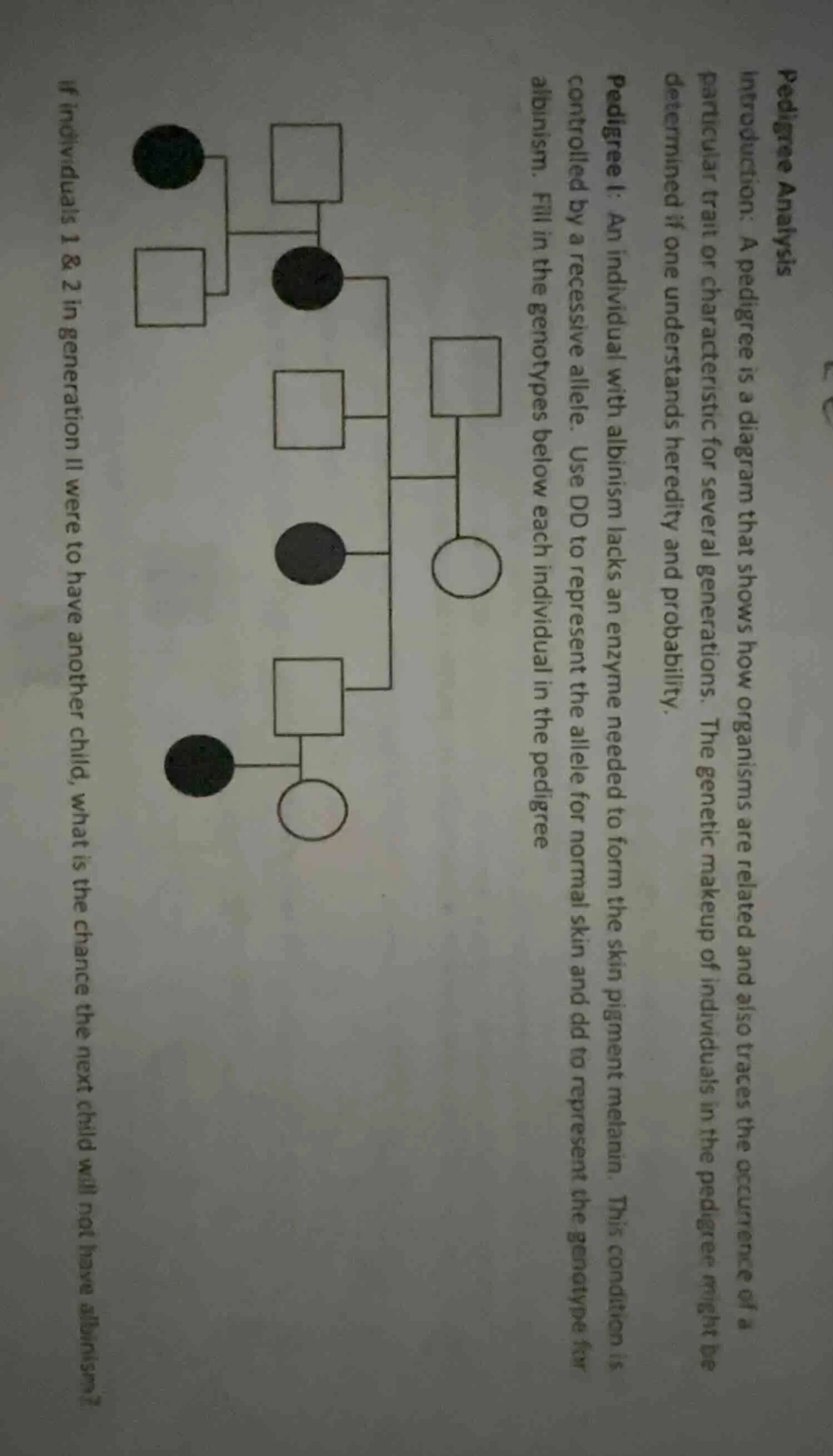 pedigree analysis introduction: a pedigree is a diagram that shows how …