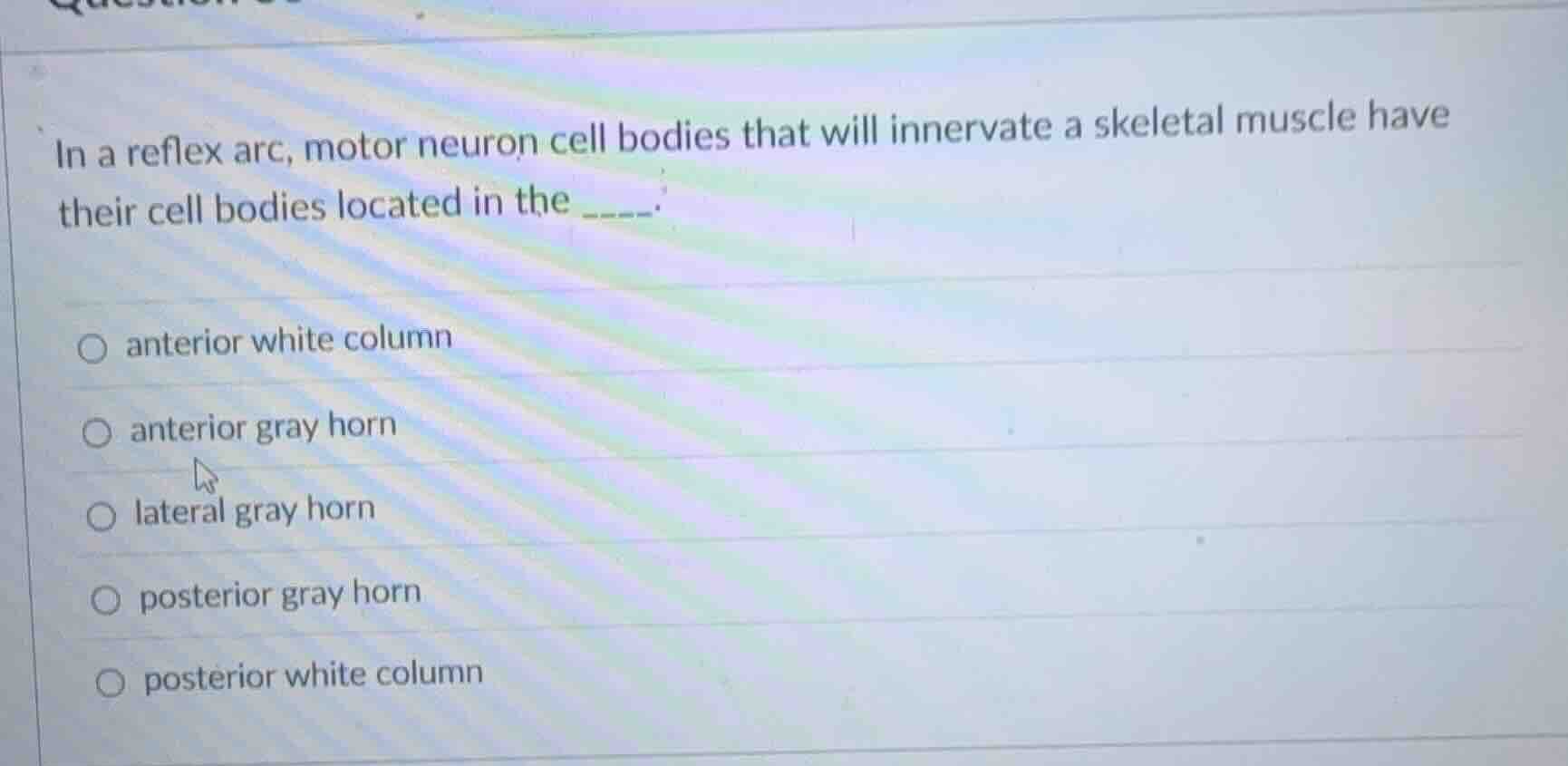 in a reflex arc, motor neuron cell bodies that will innervate a skeleta…