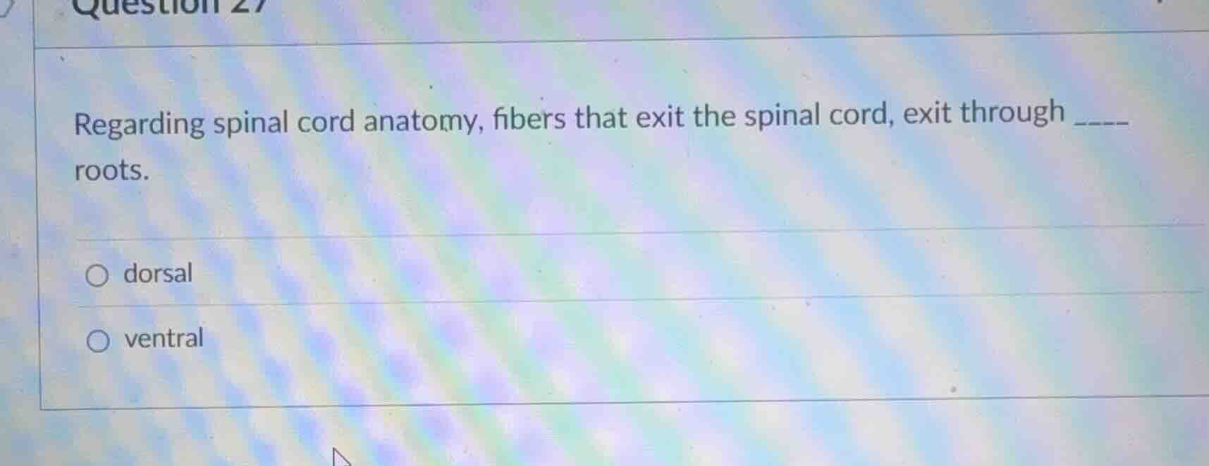 regarding spinal cord anatomy, fibers that exit the spinal cord, exit t…