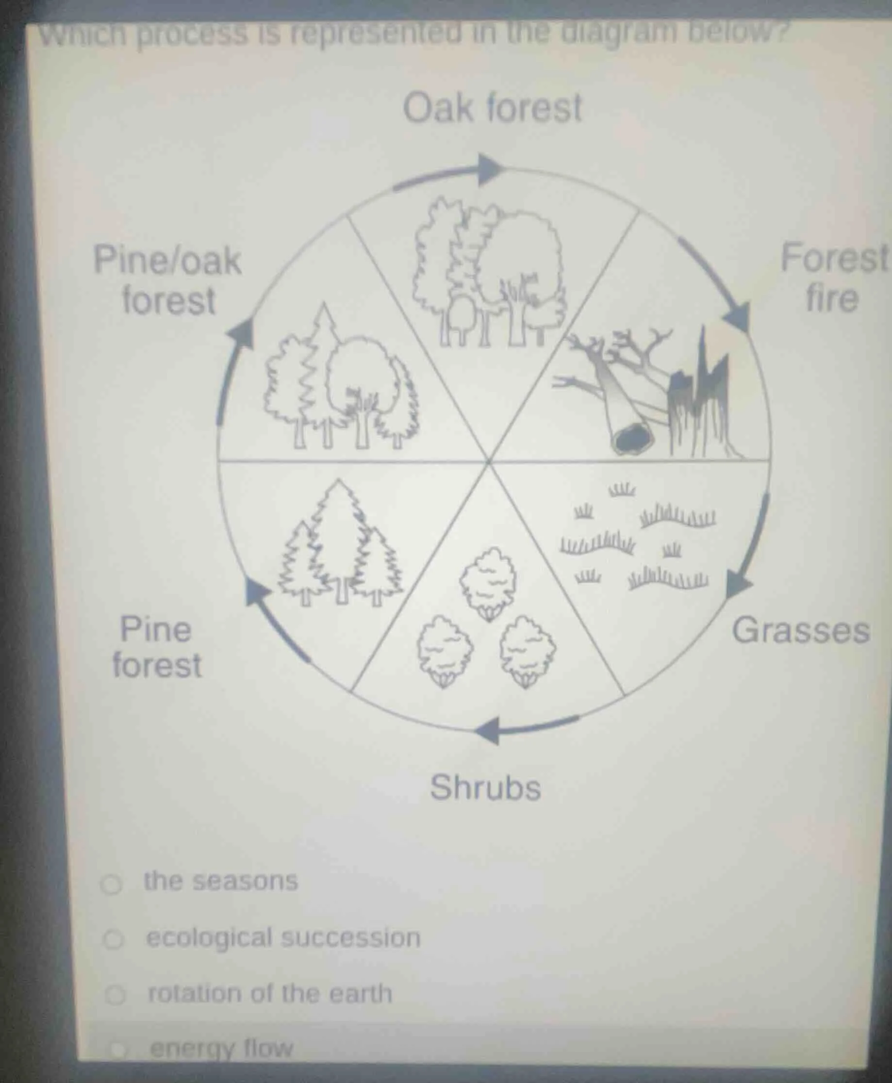 which process is represented in the diagram below?options: the seasons,…