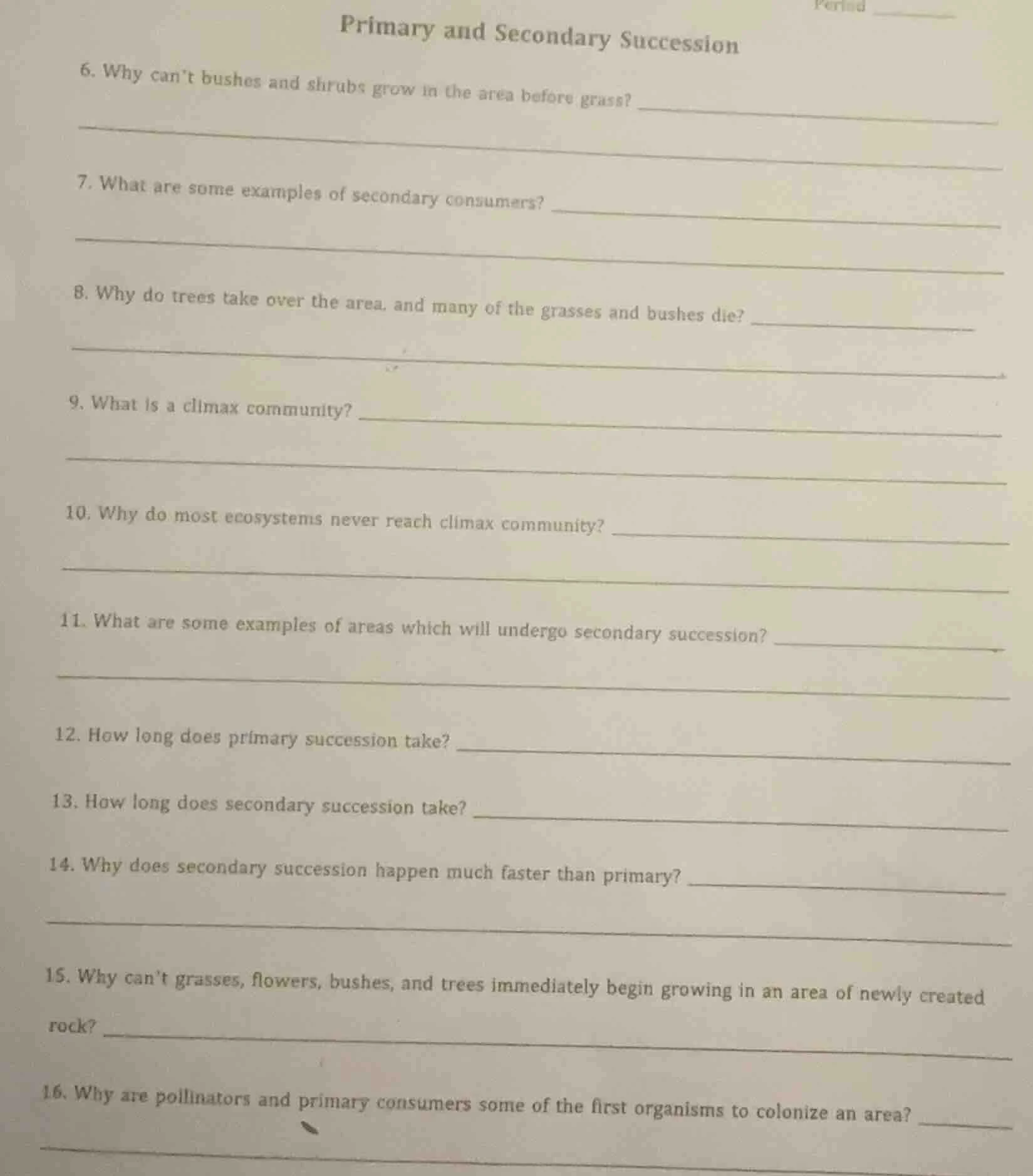 primary and secondary succession 6. why cant bushes and shrubs grow in …