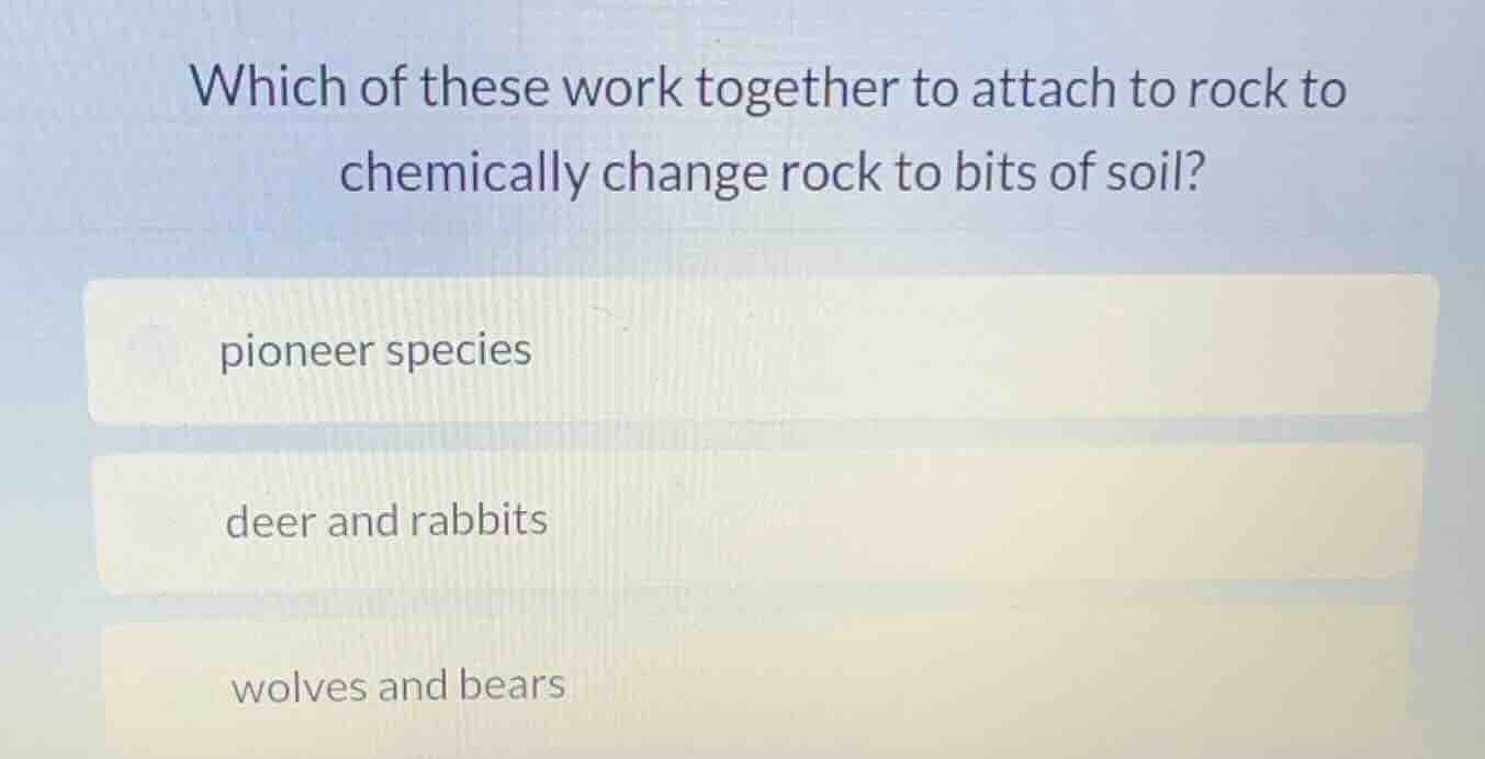 which of these work together to attach to rock to chemically change roc…