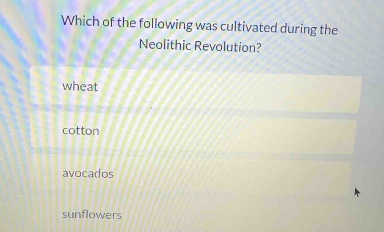 which of the following was cultivated during the neolithic revolution? …