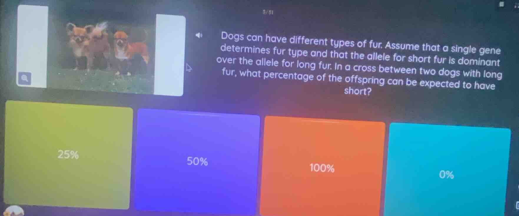 dogs can have different types of fur. assume that a single gene determi…