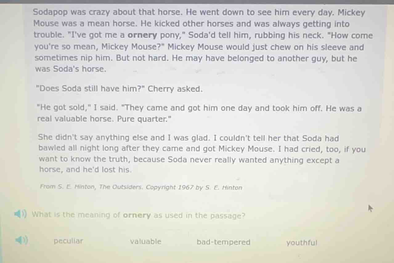 sodapop was crazy about that horse. he went down to see him every day. …