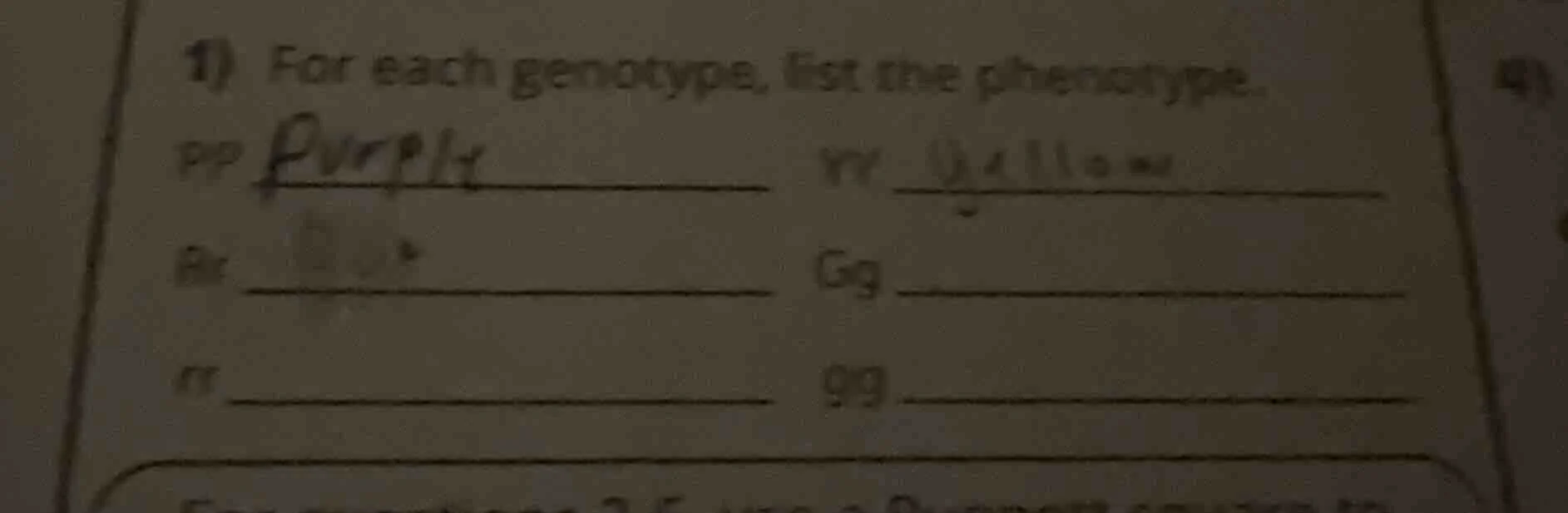 1) for each genotype, list the phenotype. pp rr rr gg rr gg