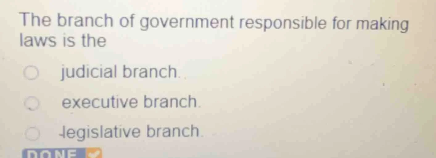 the branch of government responsible for making laws is the judicial br…