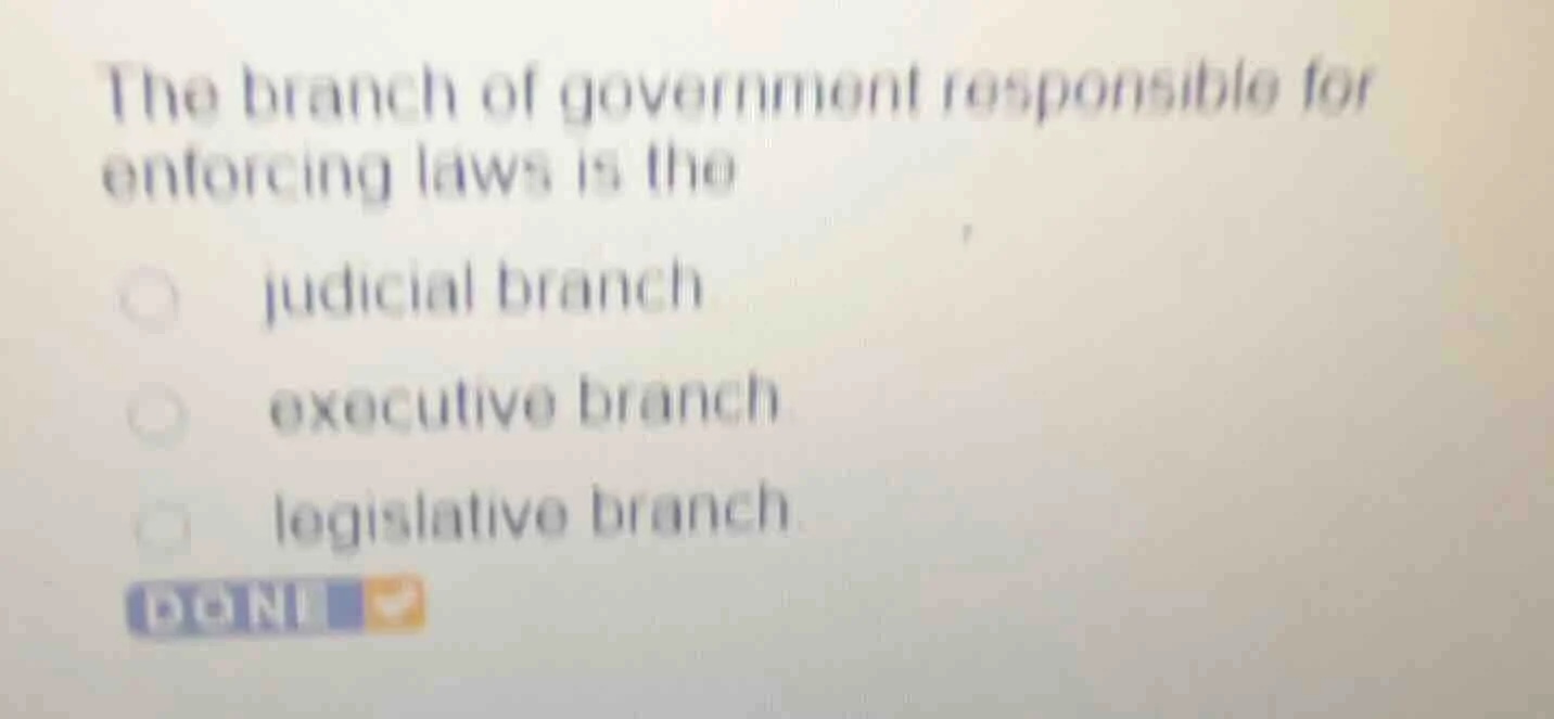 the branch of government responsible for enforcing laws is the judicial…