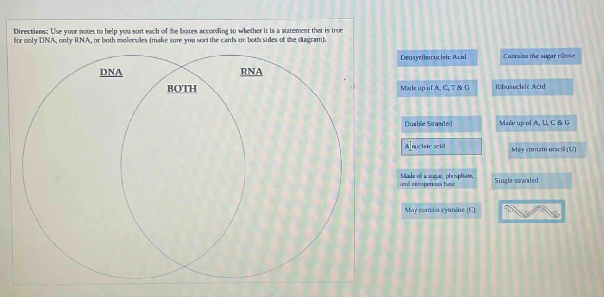 directions: use your notes to help you sort each of the boxes according…