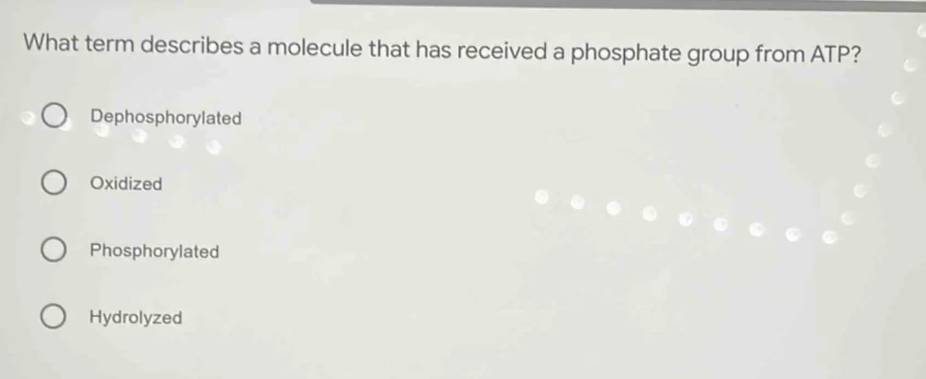what term describes a molecule that has received a phosphate group from…