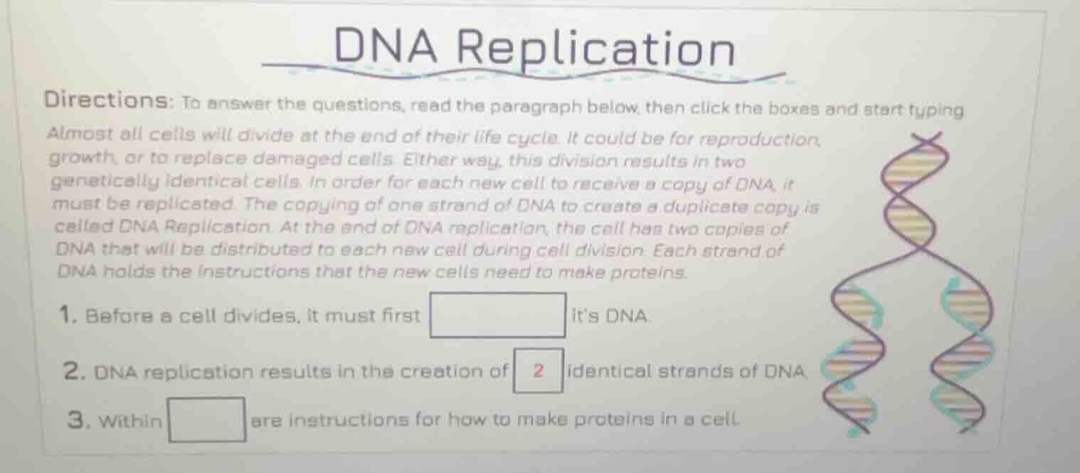 dna replication directions: to answer the questions, read the paragraph…