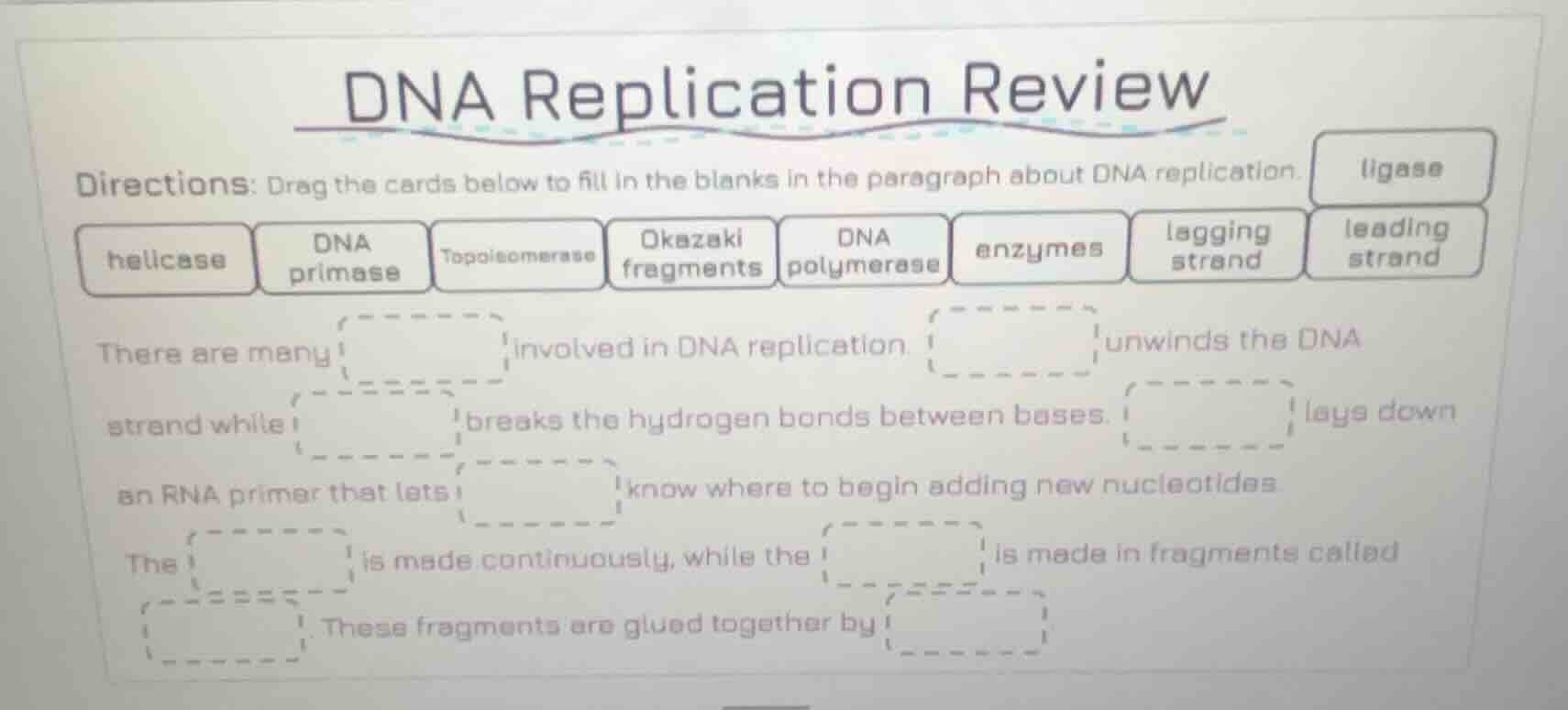 dna replication review directions: drag the cards below to fill in the …