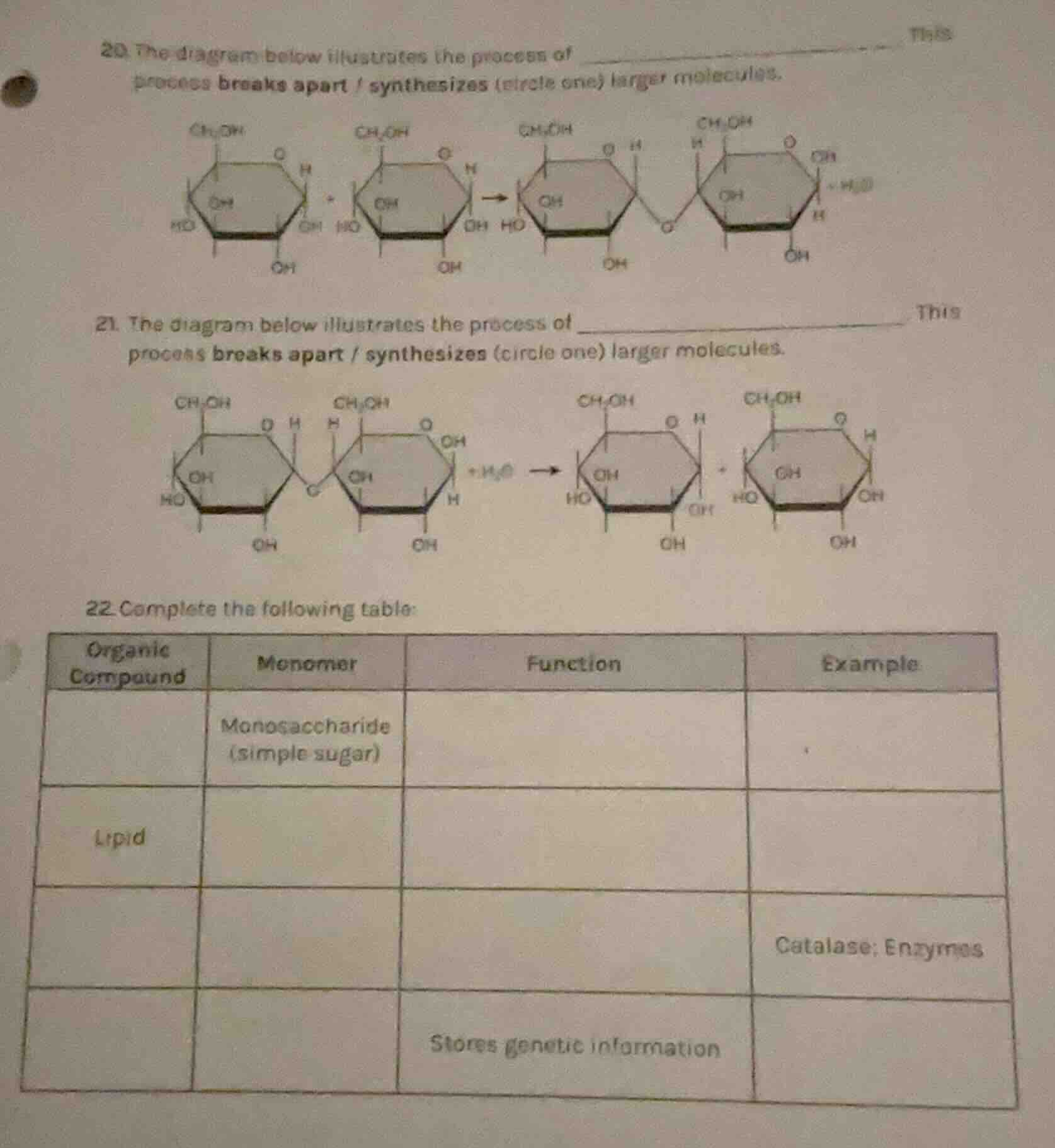 20. the diagram below illustrates the process of ______ this process br…