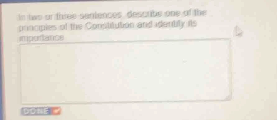 in two or three sentences, describe one of the principles of the consti…