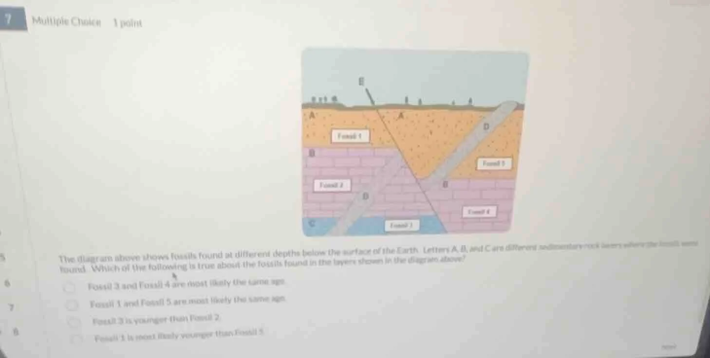 7 multiple choice 1 point the diagram above shows fossils found at diff…