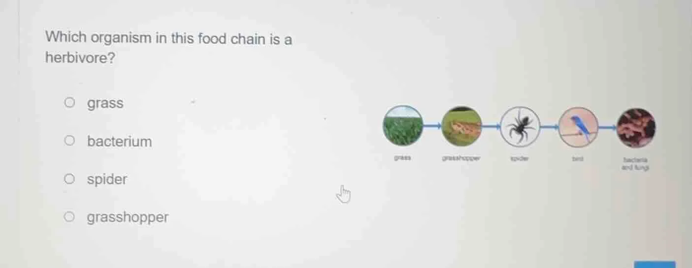 which organism in this food chain is a herbivore? ○ grass ○ bacterium ○…