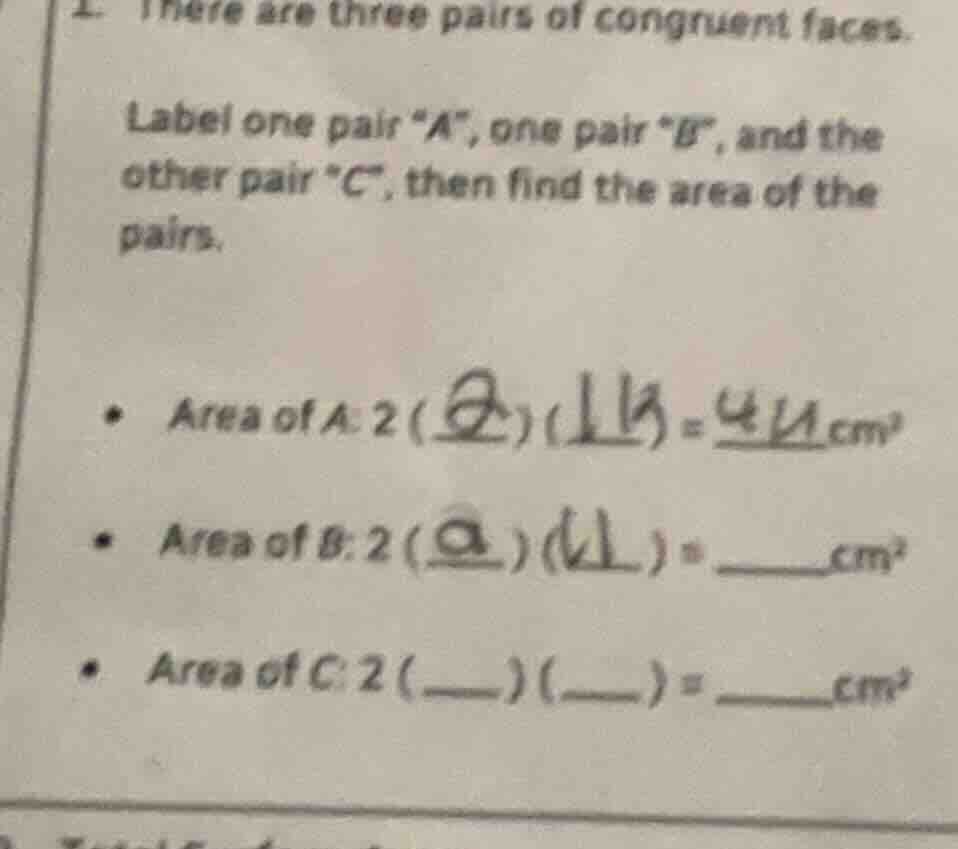 1. there are three pairs of congruent faces. label one pair “a”, one pa…