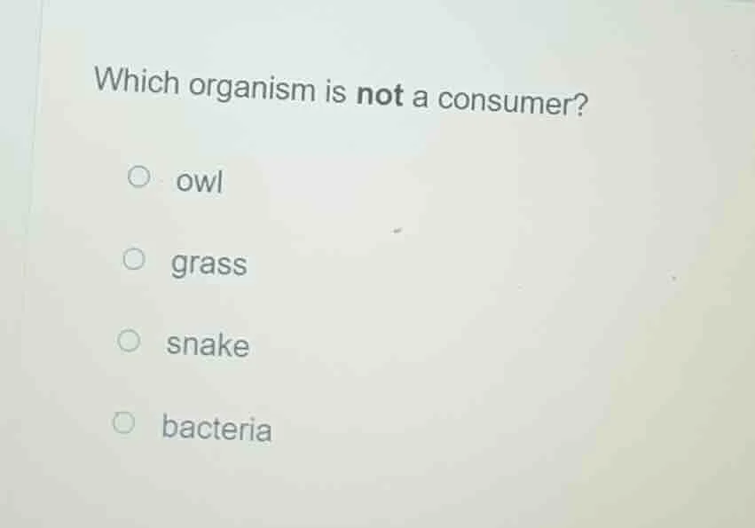which organism is not a consumer? owl grass snake bacteria