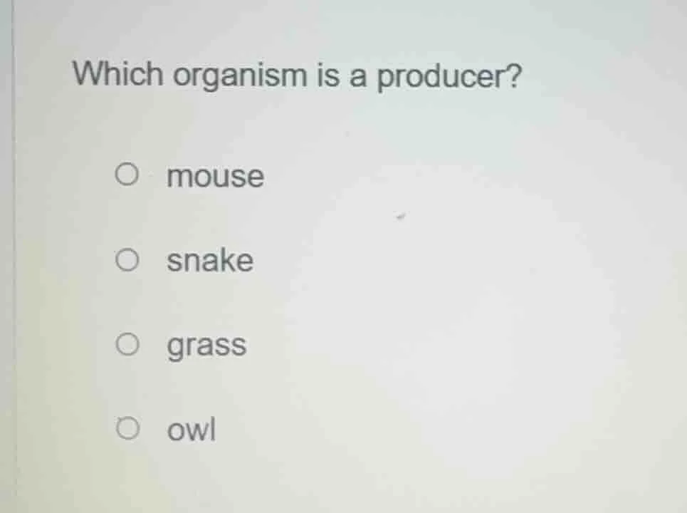 which organism is a producer? mouse snake grass owl
