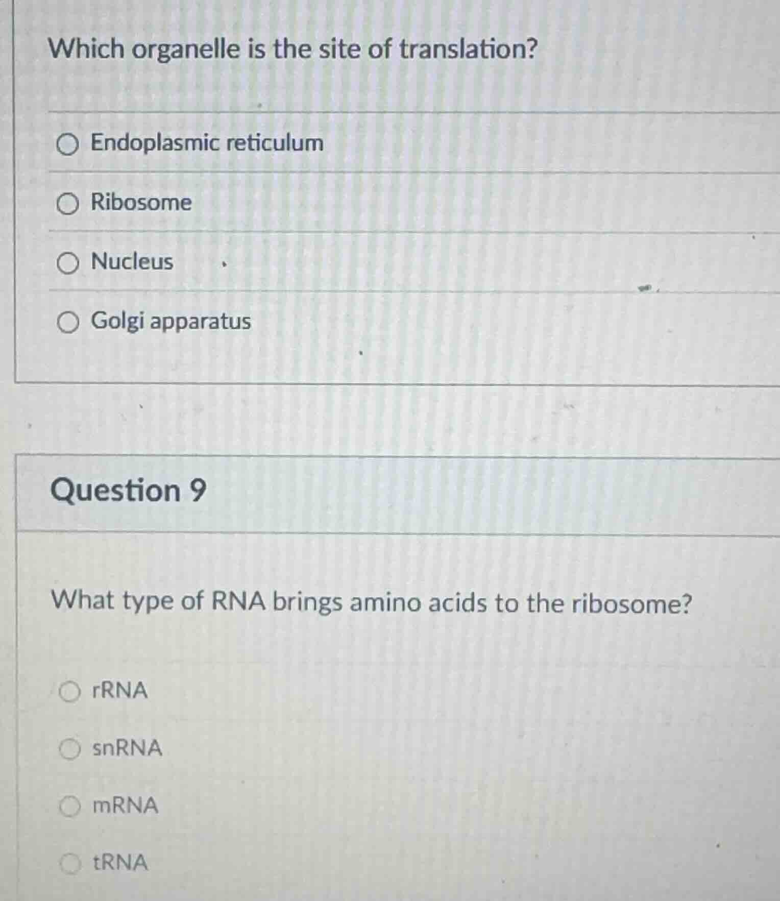 which organelle is the site of translation? endoplasmic reticulum ribos…
