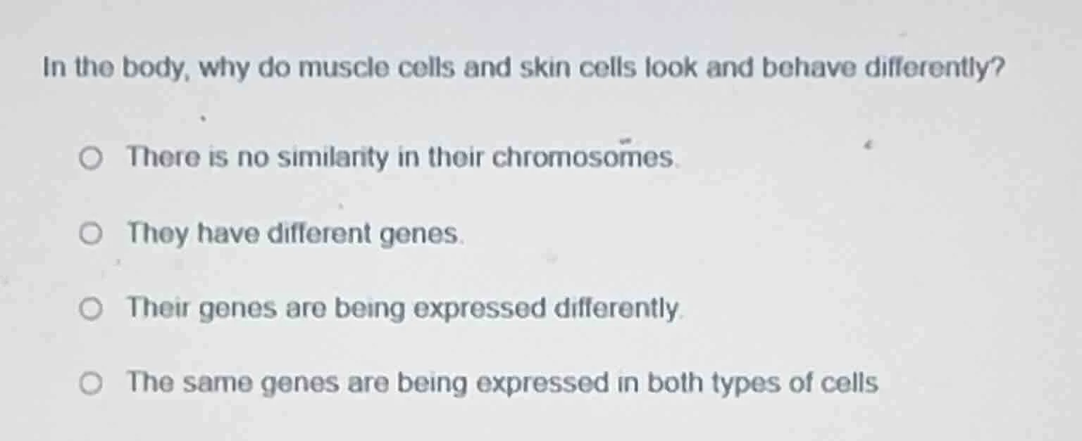 in the body, why do muscle cells and skin cells look and behave differe…
