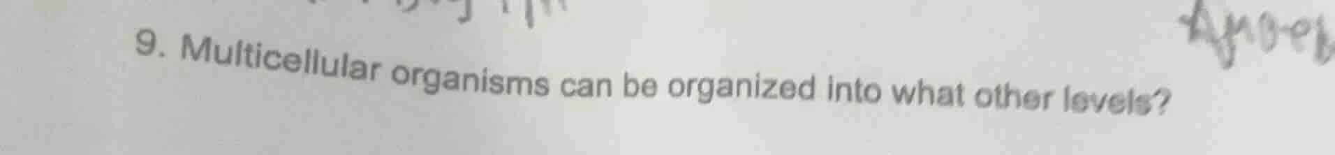 9. multicellular organisms can be organized into what other levels?