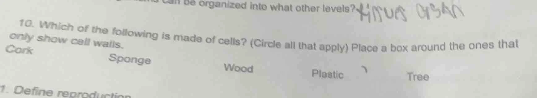 10. which of the following is made of cells? (circle all that apply) pl…