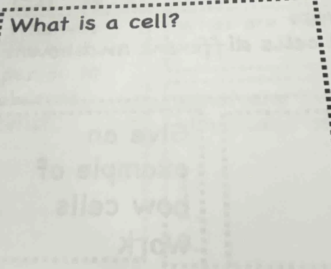 what is a cell?