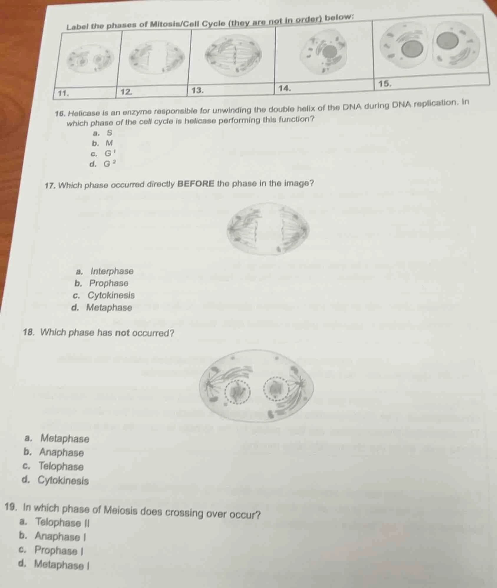 label the phases of mitosis/cell cycle (they are not in order) below: 1…