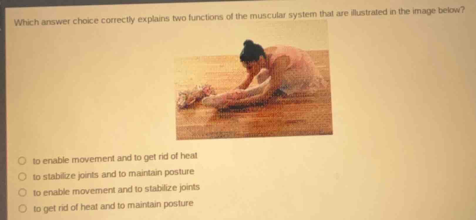 which answer choice correctly explains two functions of the muscular sy…