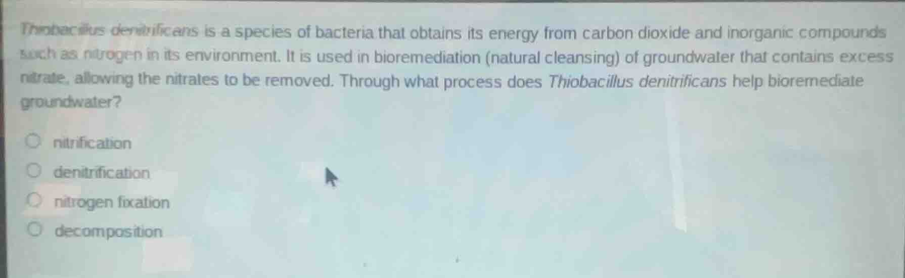 thiobacillus denitrificans is a species of bacteria that obtains its en…