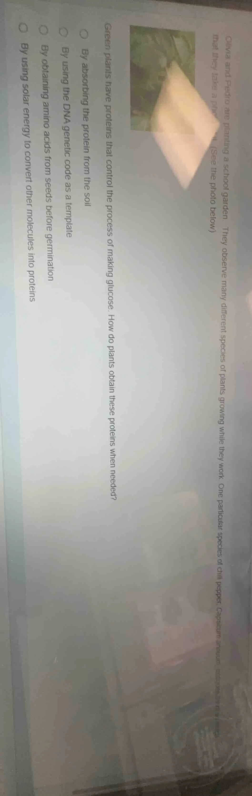 oliva and pedro are planting a school garden. they observe many differe…