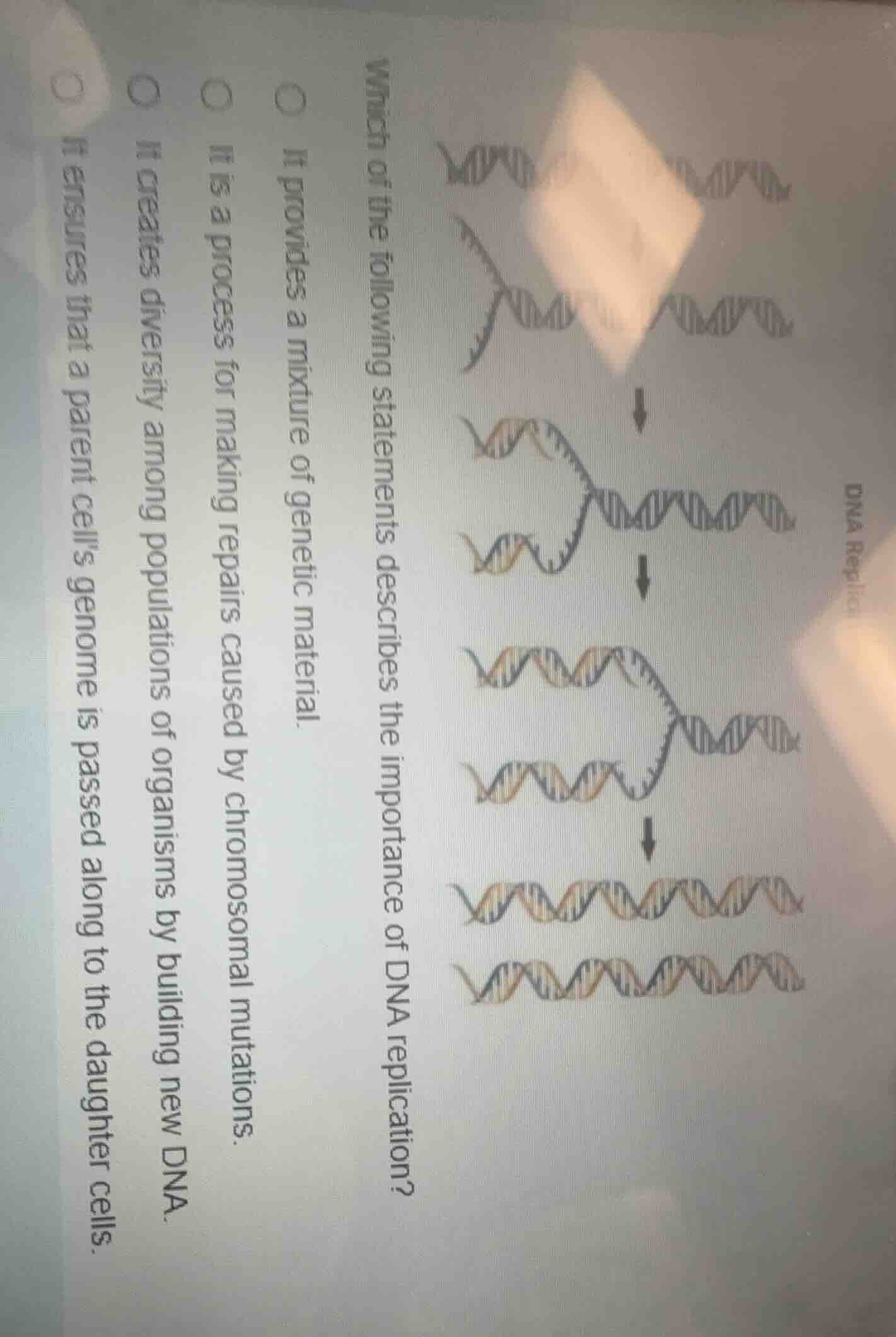 dna replication which of the following statements describes the importa…