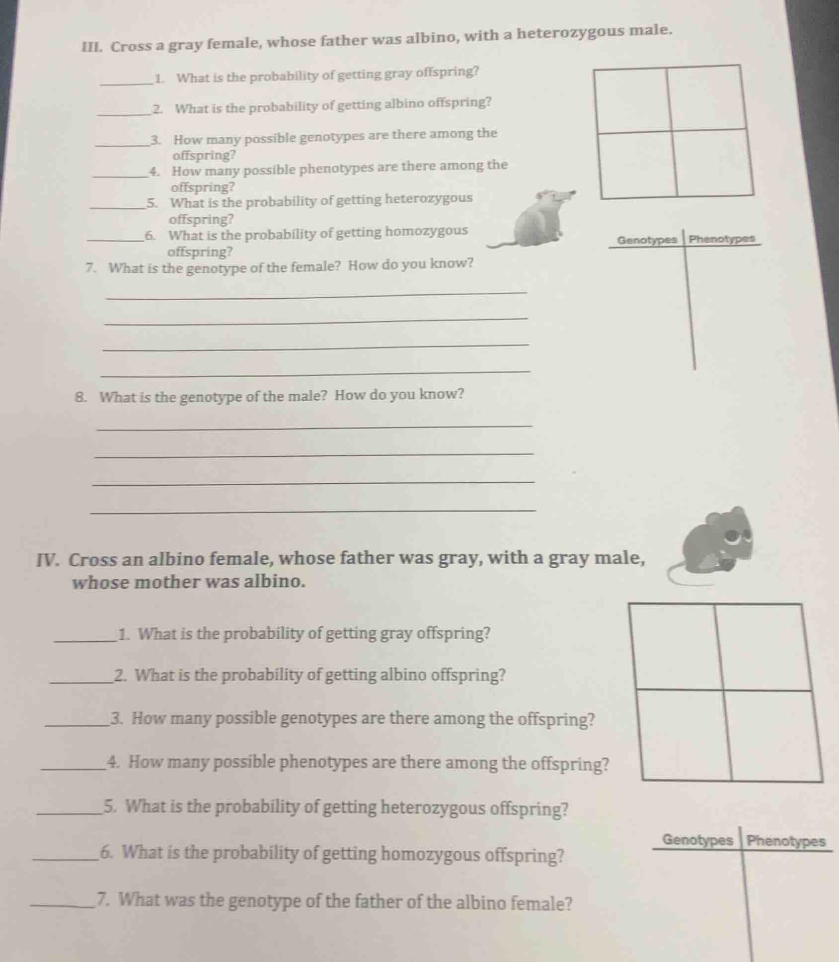iii. cross a gray female, whose father was albino, with a heterozygous …
