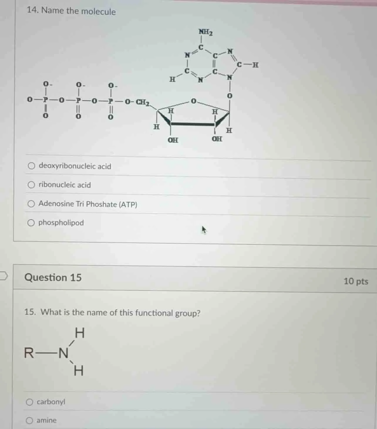 14. name the molecule deoxyribonucleic acid ribonucleic acid adenosine …
