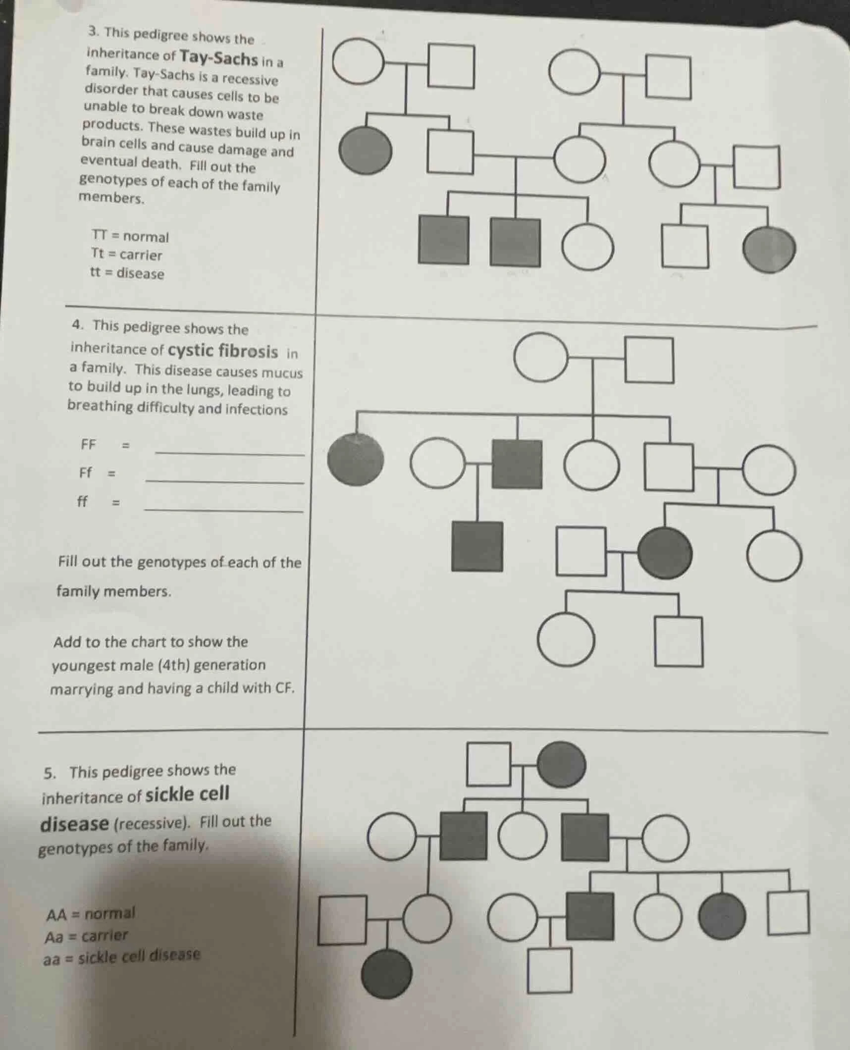 3. this pedigree shows the inheritance of tay - sachs in a family. tay …